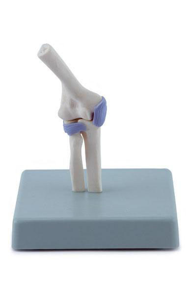 Miniature Joints